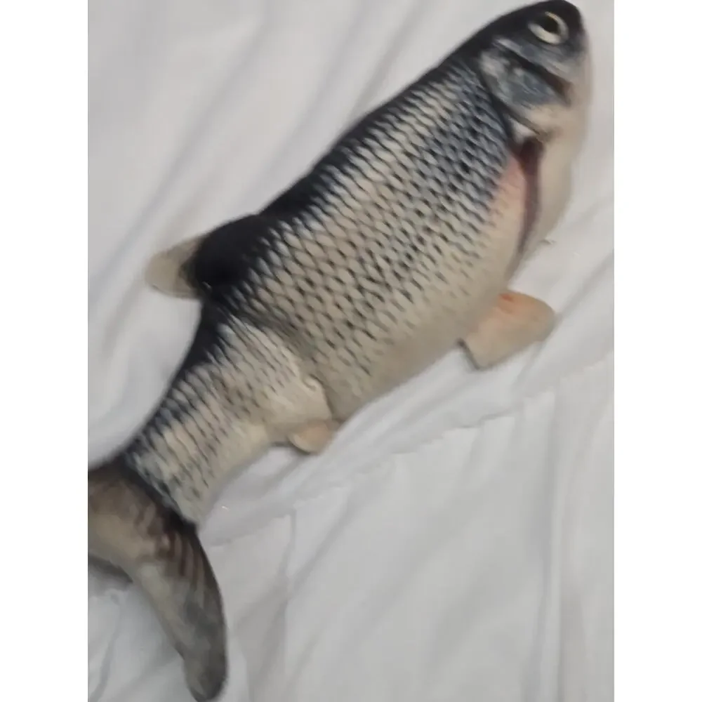 Moving Fish Flop Cat Toy Soft Plush Interactive Kitten Kitty Play Exercise